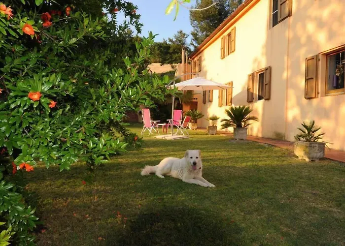 B&B GlicineBed and Breakfast